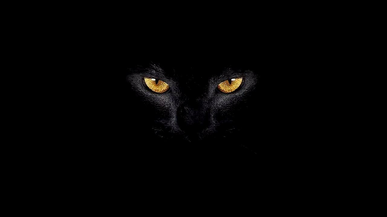 最佳观影神器-TV移动双端支持